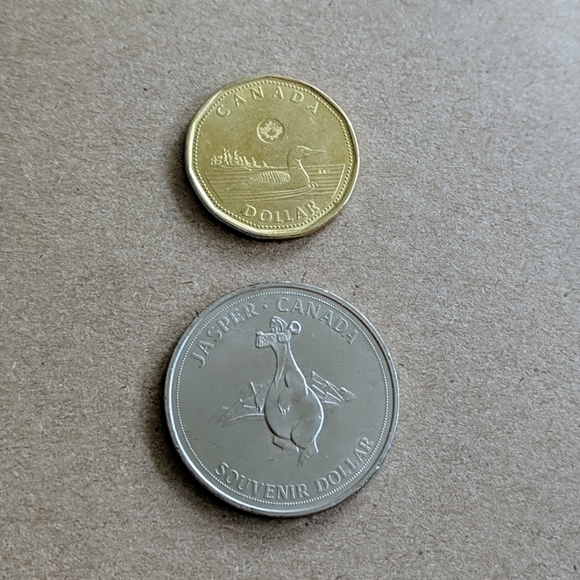 Jasper Souvenir Coin - Picture 3 of 3